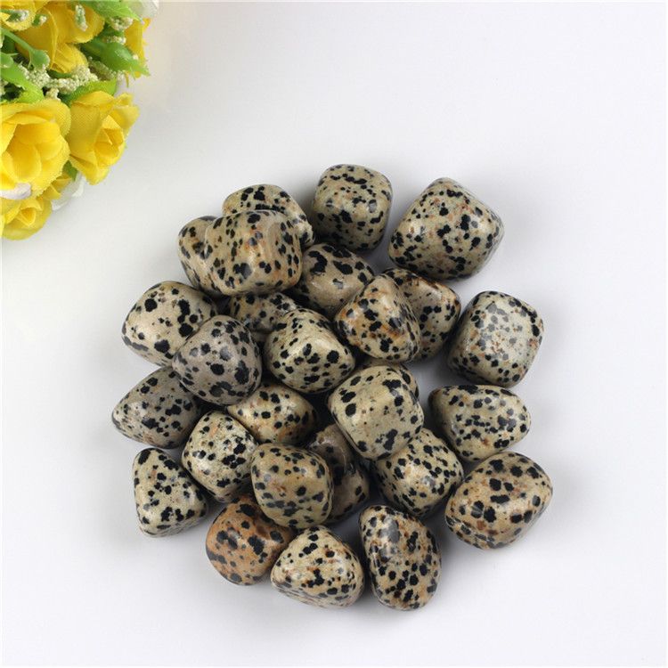 200g Dalmatian Jaser