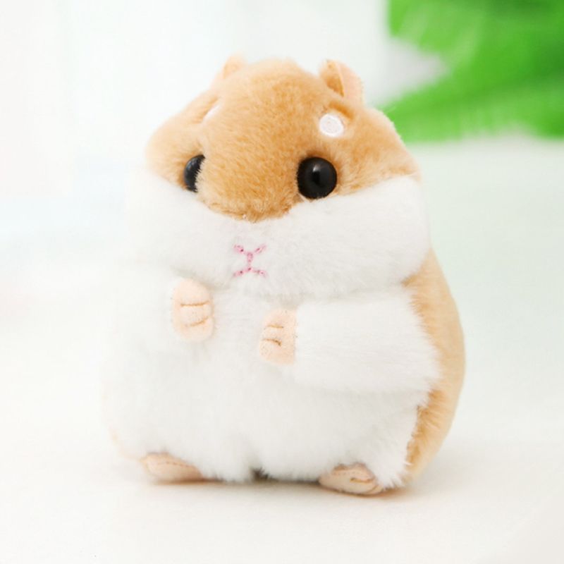 Kaki Hamster