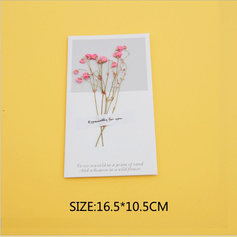 gypsophila pink