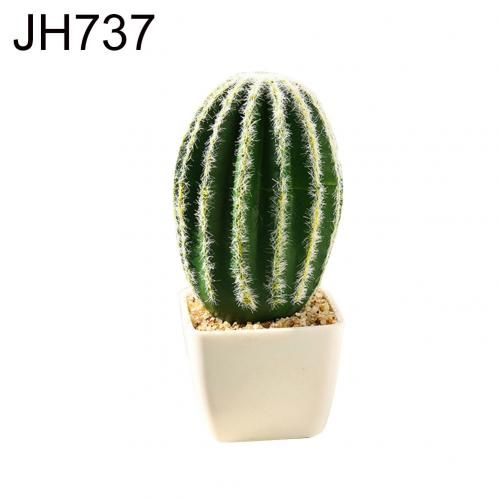 JH737
