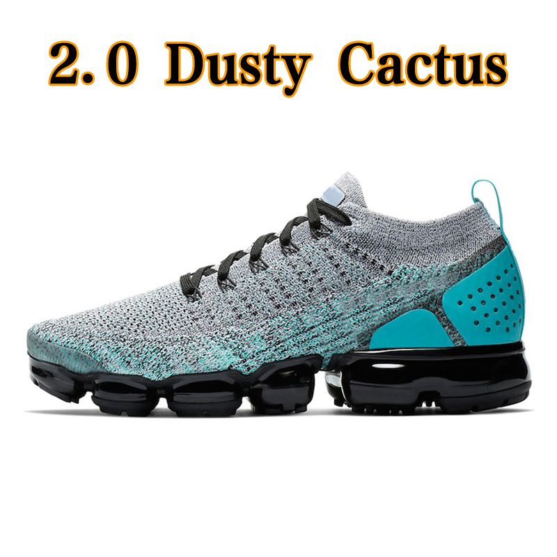 2.0 Dusty Cactus 36-45 black Symbol