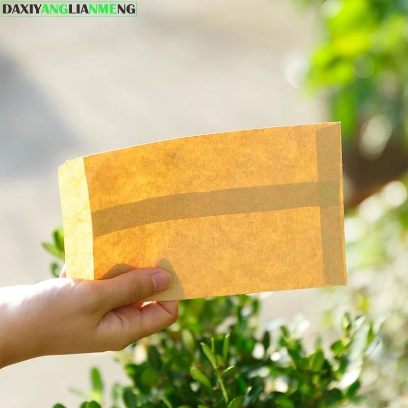 100 Pack Kraft Small Coin Envelopes Self-Adhesive Seed Envelopes