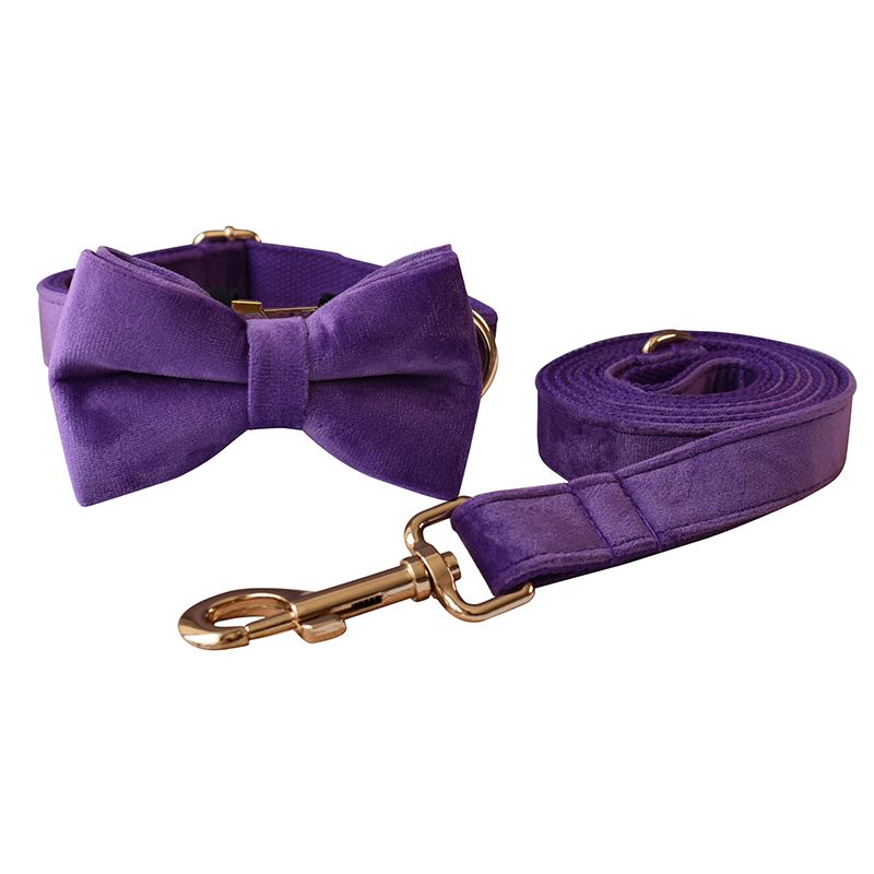 Bow Collar Leash Set