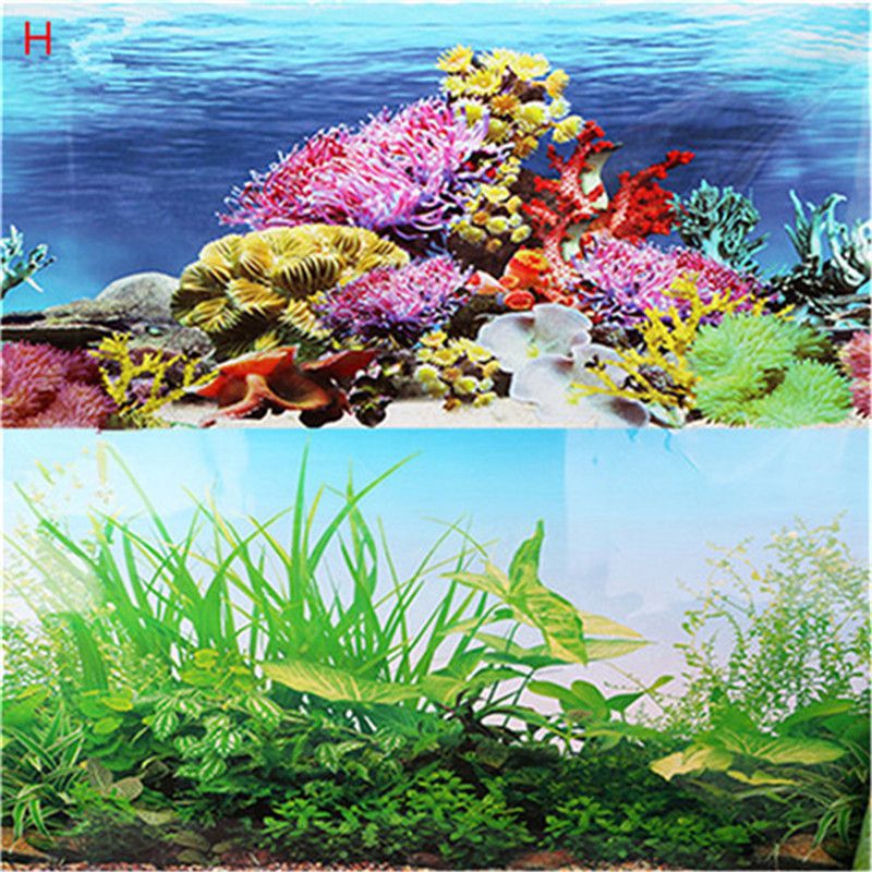 Groenteboer browser Minder 50x120cm Aquarium Decoration Double Sided Aquarium Background Poster Fish  Tank Wall Decor From Deze, $10.41 | DHgate.Com
