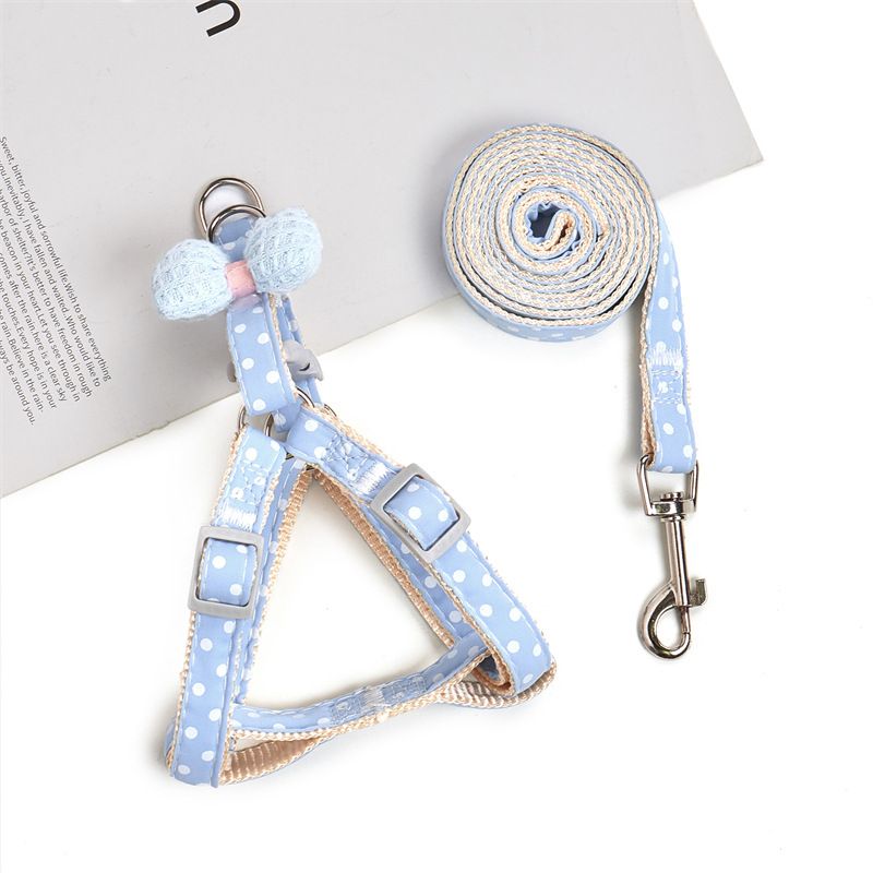 Blue Harness Leash