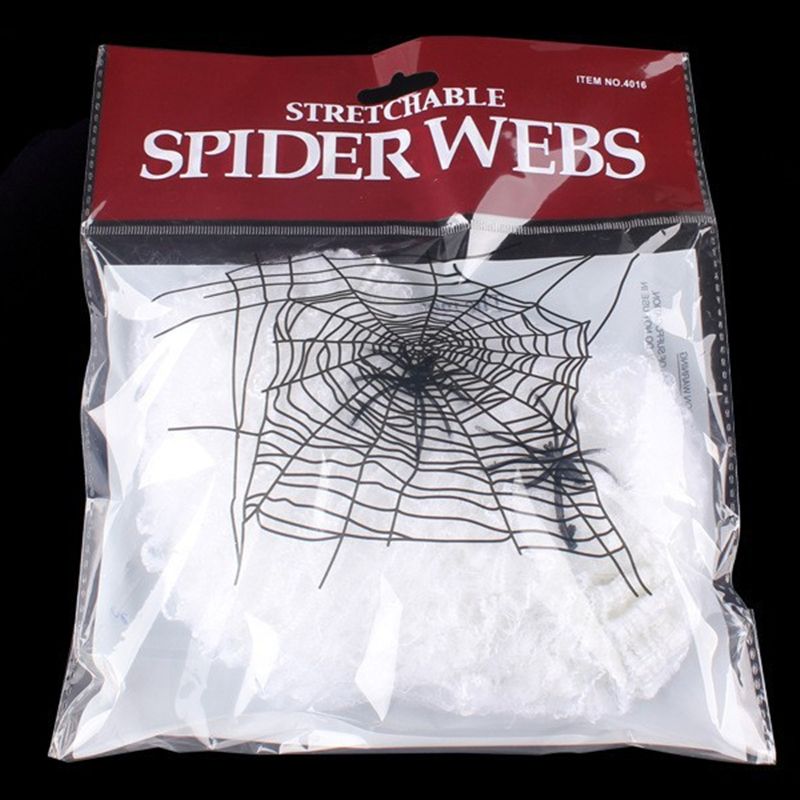 Weißes Spinnennetz