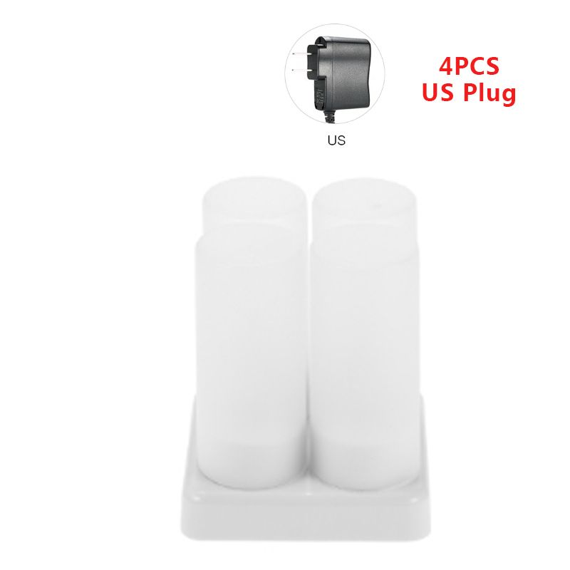 US Plug 4.