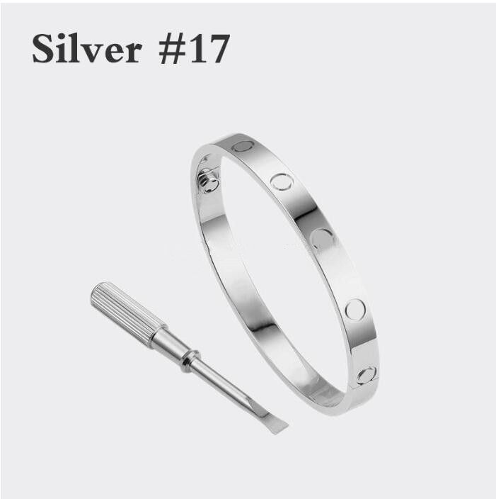 Silver # 17