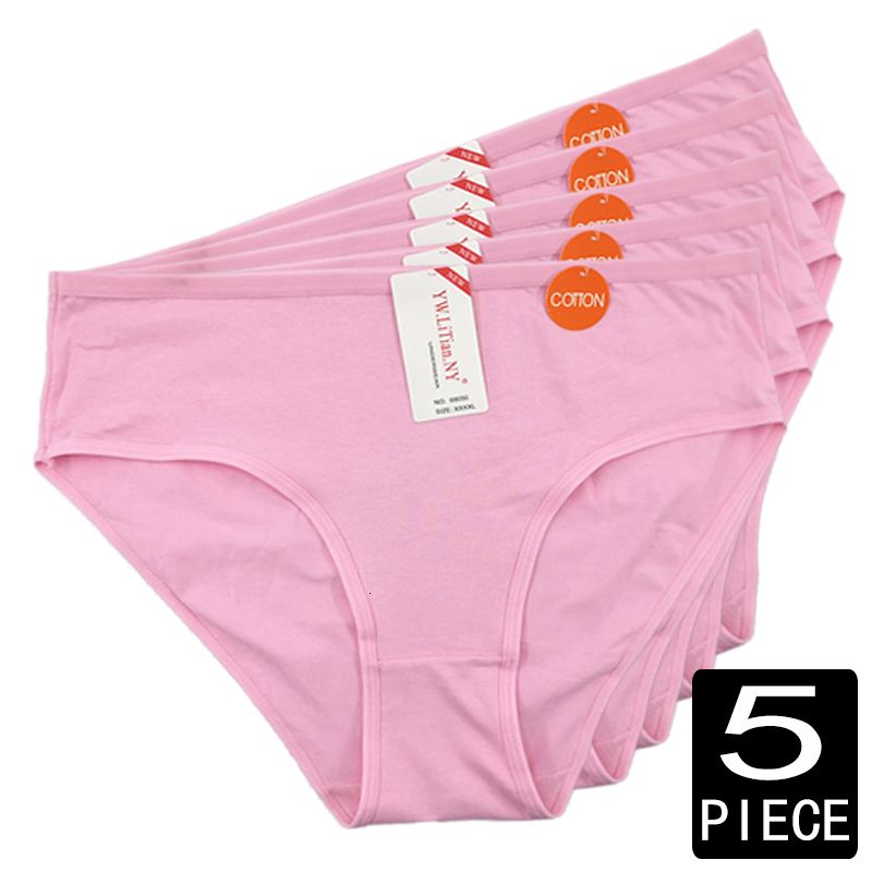 Rosa 5 PCs