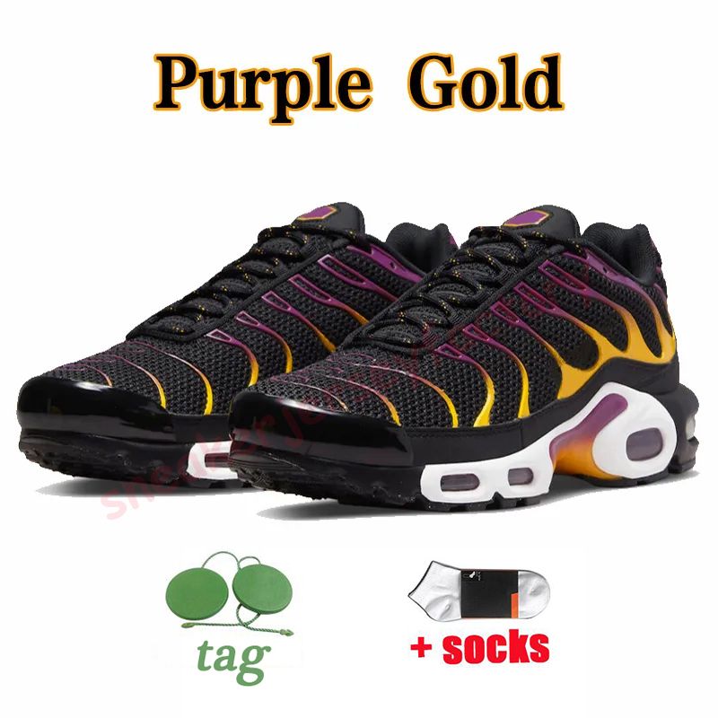 C25 40-46 Purple Gold