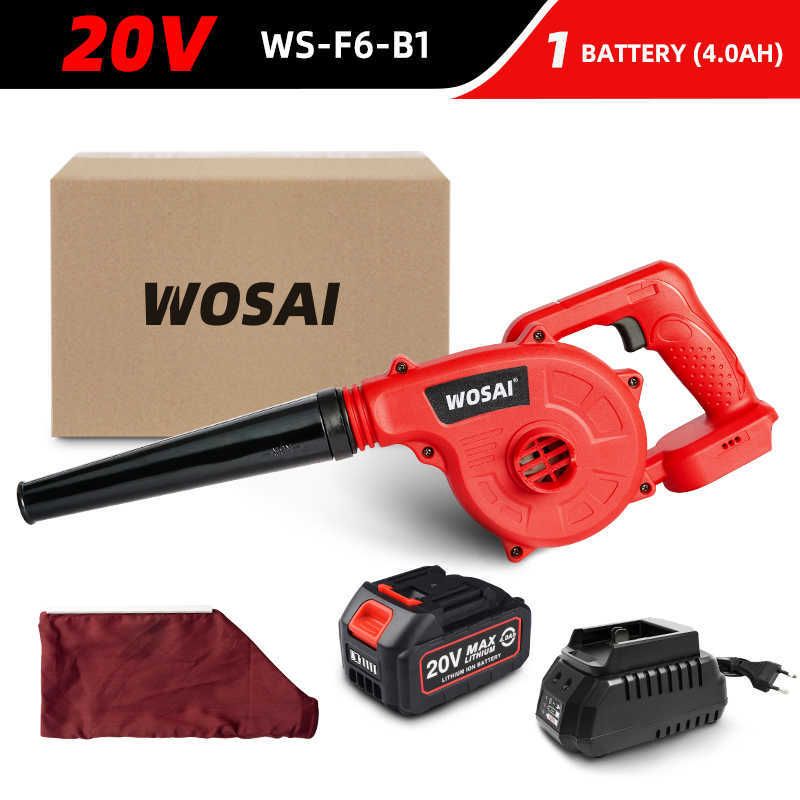 20V WS-F6-B1