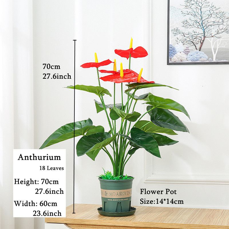 Anthurium 18 리브