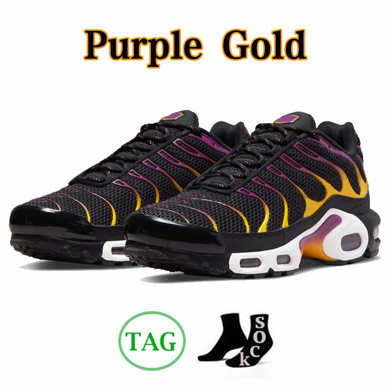 40-46 Purple Gold