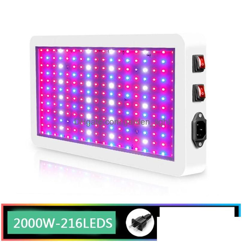 216LEDS-2000W-US Plug