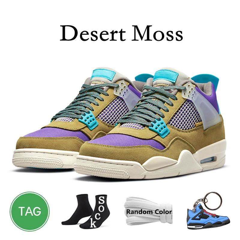 Moss no deserto