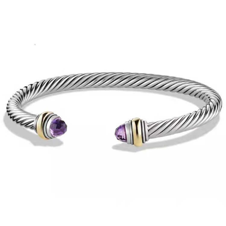 DYSZ-013 PURPLE 5MM مع شعار