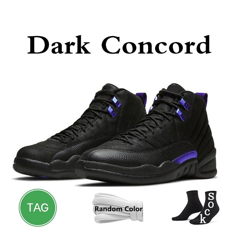 Concordia oscura