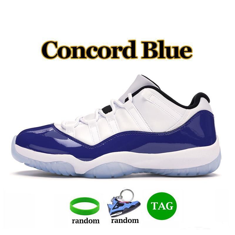 28 Concord Blue