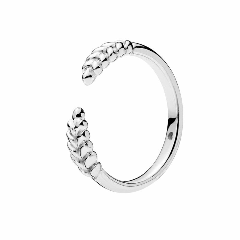 Bague en argent + boîte