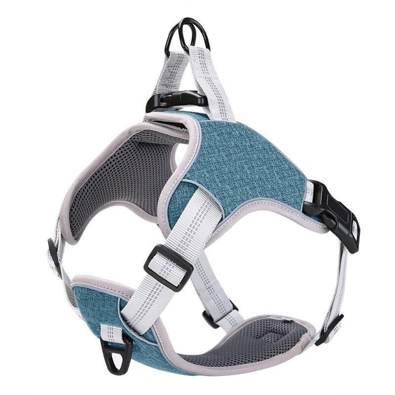 Blue Dog Harness Kina