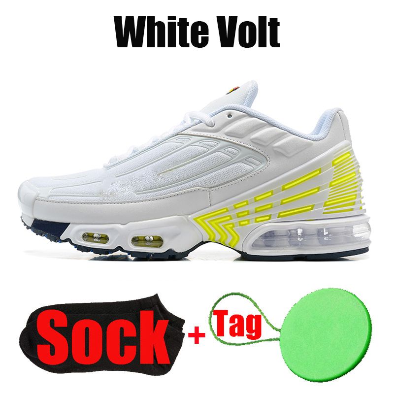 #8 White Volt