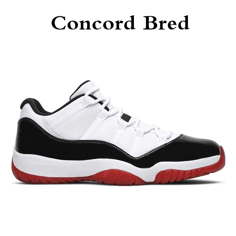 23 Concord Bred