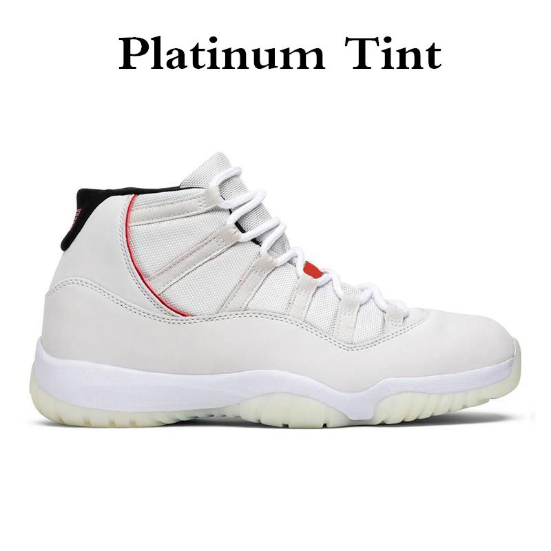 17 Platinum Tint