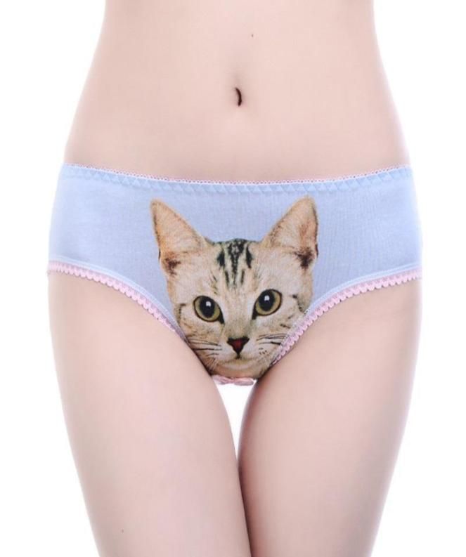 Women039s Bragas Ropa De Ropa Interior De Gato 3D Mujer Para Mujeres De Lencería Femenina Divertida De Baja Cintura Sin Copa Corta Short6558307 De 1,65 € | DHgate