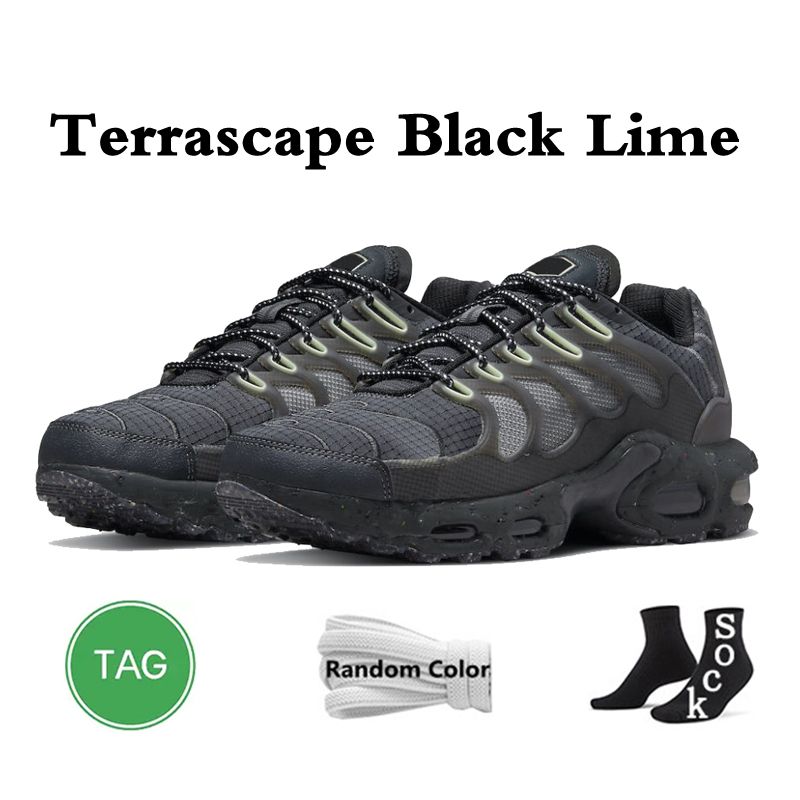 Terrascape Black Lime
