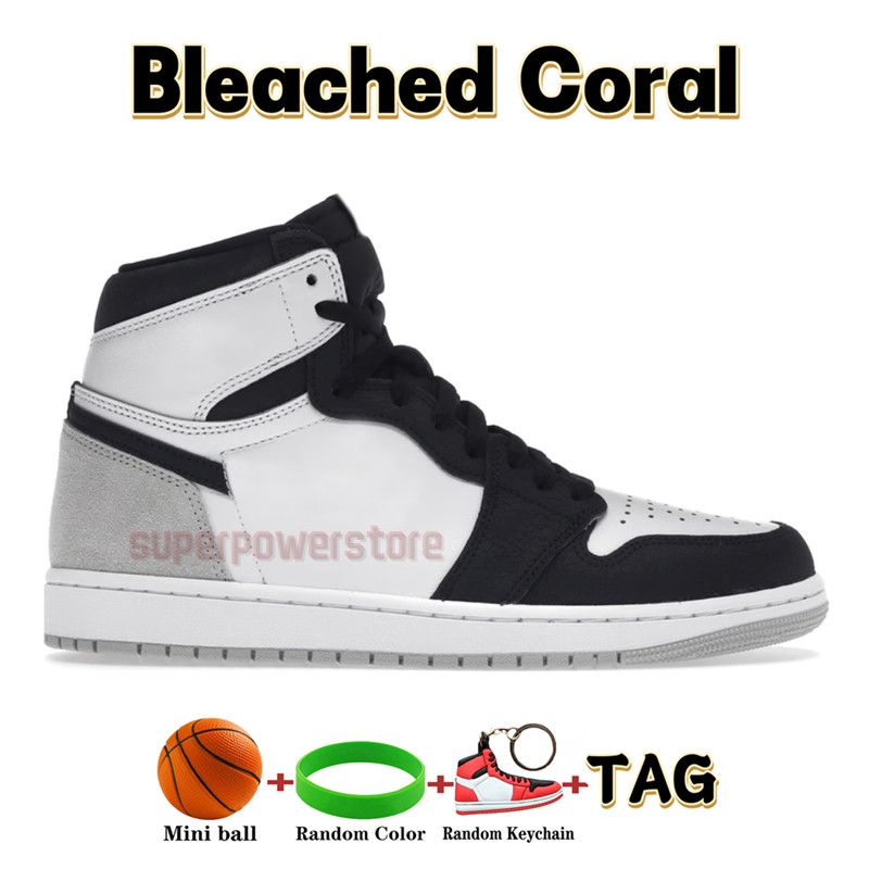 11 Bleached Coral
