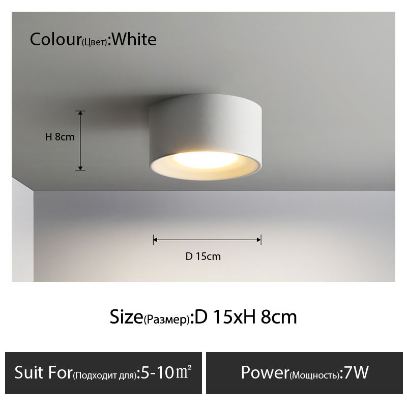 Luce neutra da 1 testa bianca