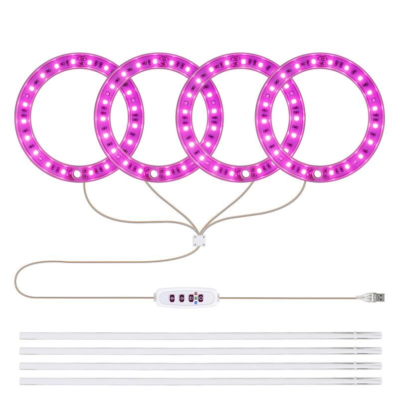 pink 4 rings