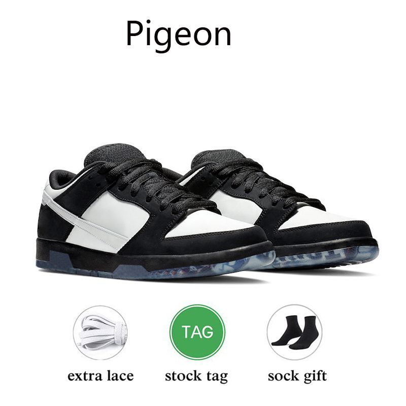 Pigeon # 25