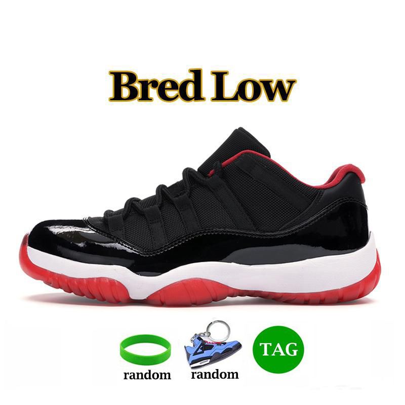 26 bred low