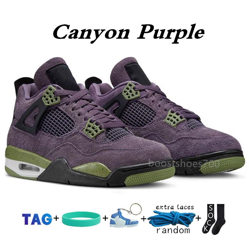 09 Canyon Purple