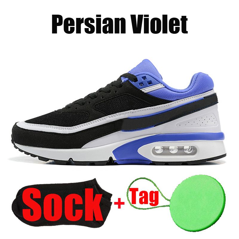 #1 Persian Violet 36-45