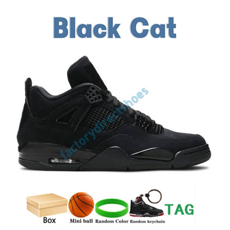 09 Black Cat