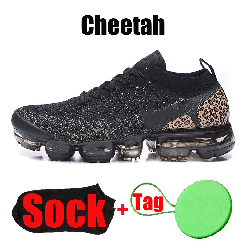 #4 Cheetah 36-45