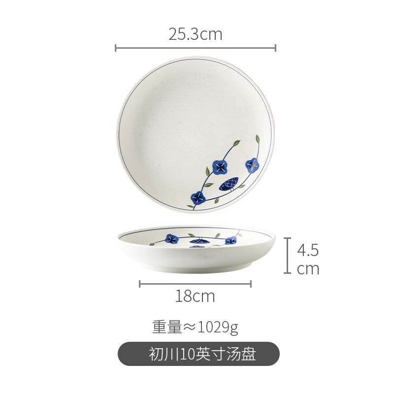 10 inch soup plate