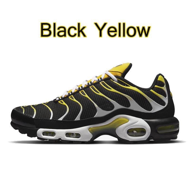 #33 amarillo negro