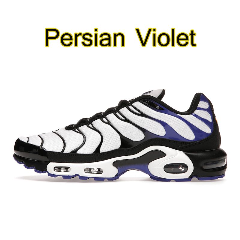 #41 Violeta persa