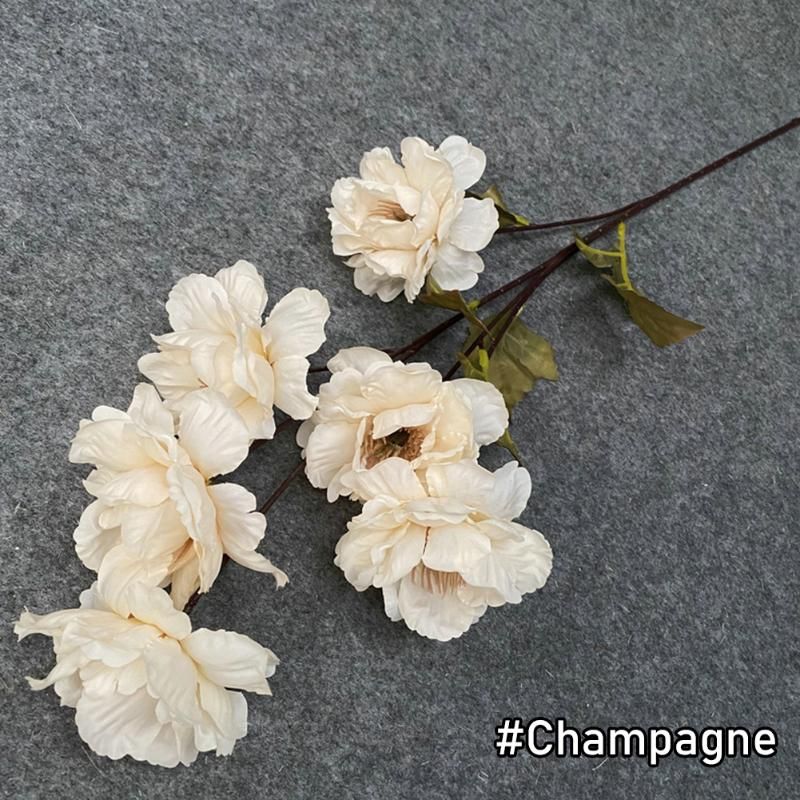 champagne