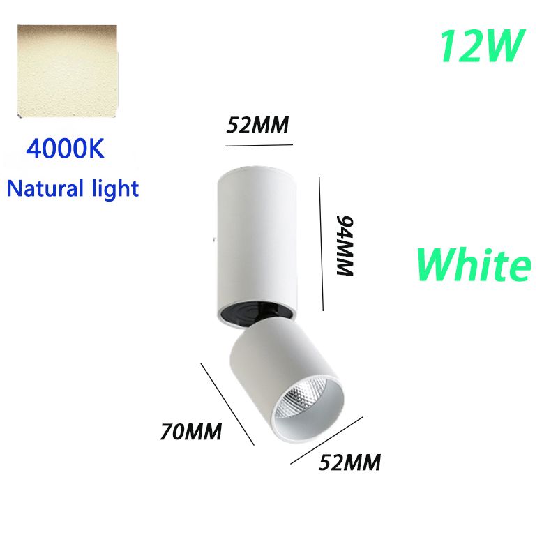 12W blanc 4000K 11-15W Chine