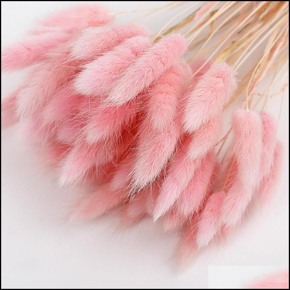 50pcs cor rosa