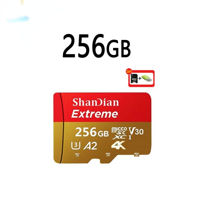 256 GB SD