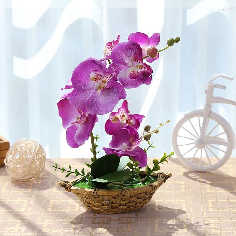 Orchid￩es violet