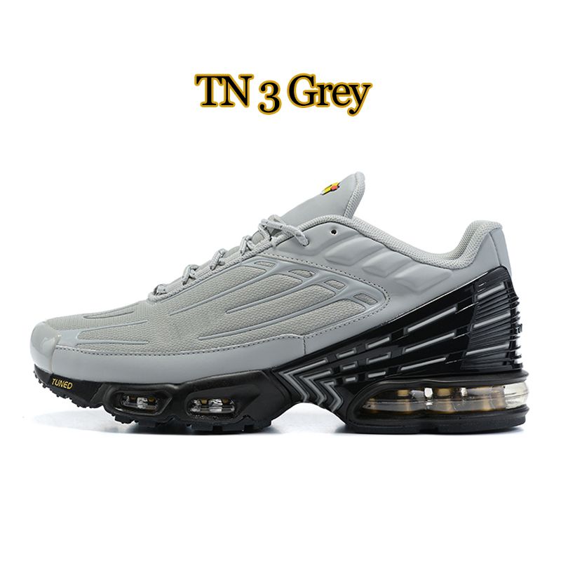 Tn 3 Grey