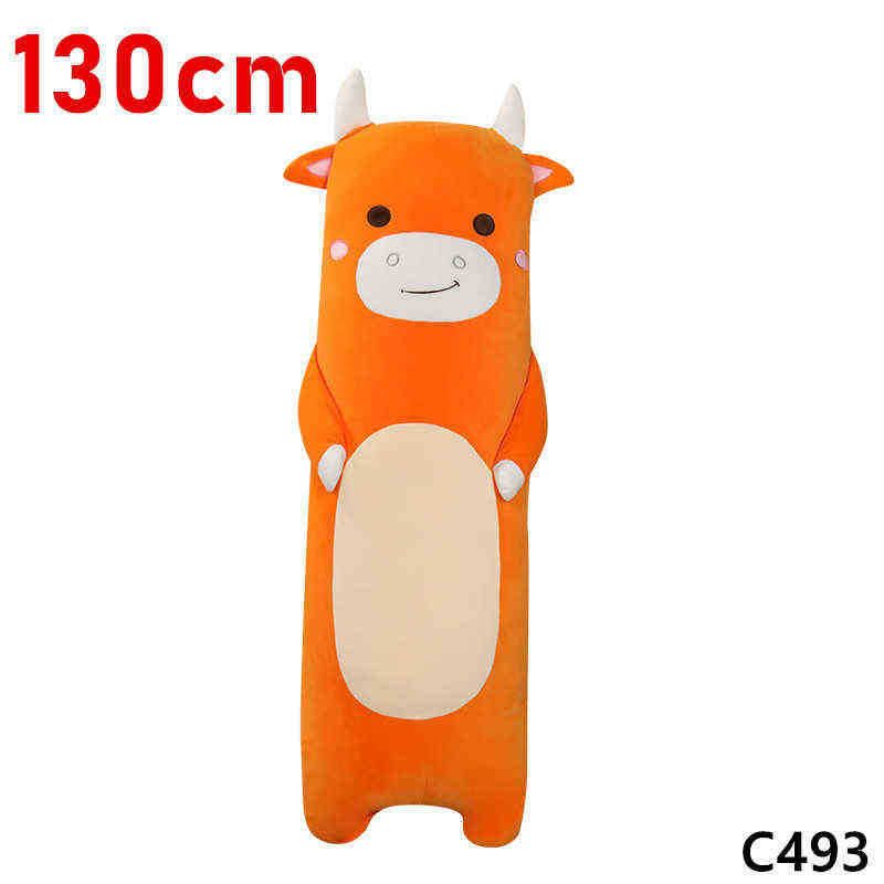 130cm cattle