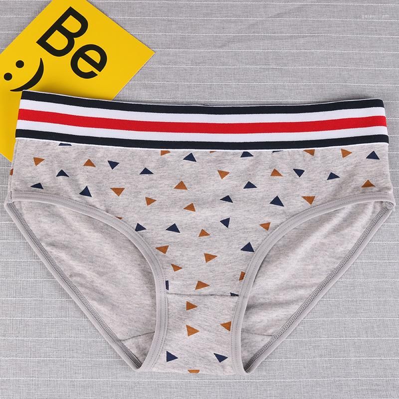 Briefs gris