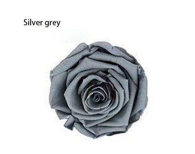 Silber-Grau